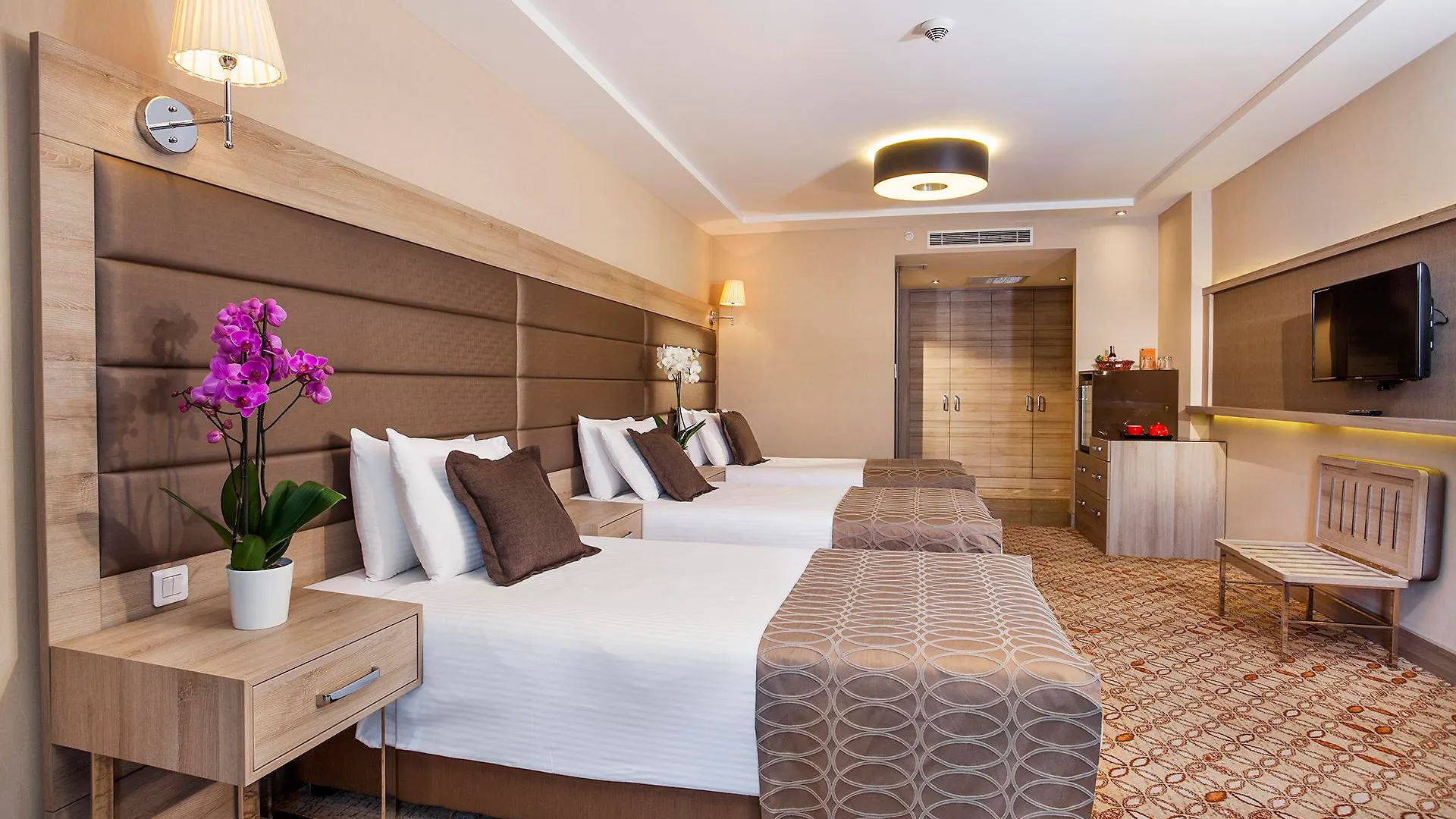 Nidya Hotel Galataport Istanboel Turkije